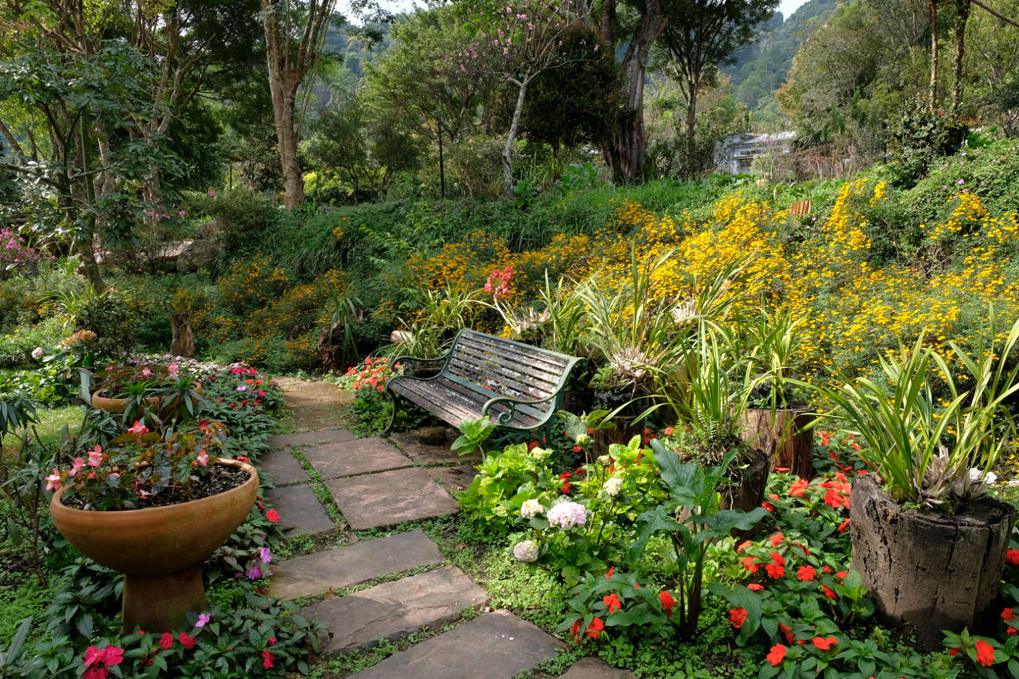 Take a stroll through the Royal Project Siribhum Garden in the Doi Inthanon mountains